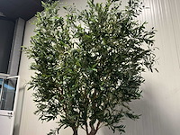 Olive tree kunstplant (280cm hoog) - afbeelding 10 van  12