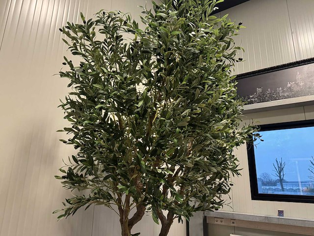 Olive tree kunstplant (280cm hoog) - afbeelding 11 van  12