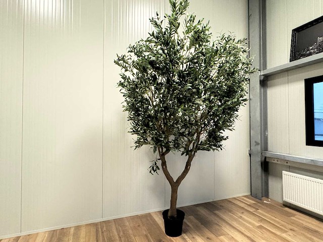 Olive tree kunstplant (280cm hoog) - afbeelding 12 van  18