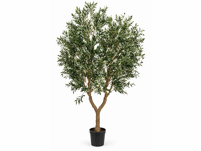 Olive tree kunstplant (280cm hoog) - afbeelding 1 van  5