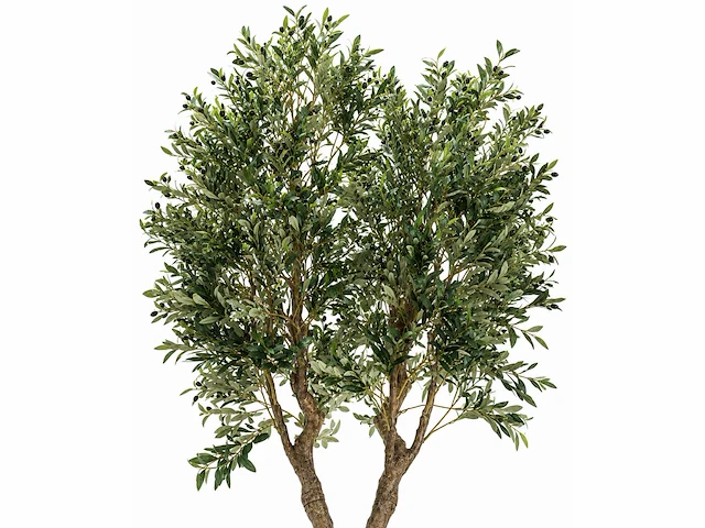Olive tree kunstplant (280cm hoog) - afbeelding 2 van  5
