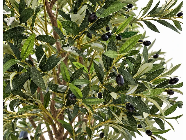 Olive tree kunstplant (280cm hoog) - afbeelding 4 van  5