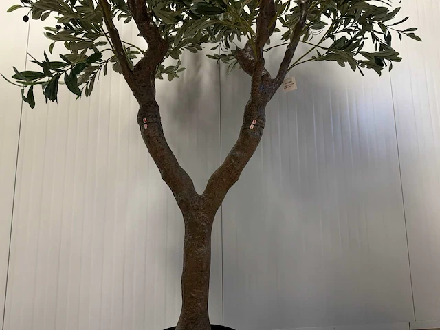 Olive tree kunstplant (280cm hoog) - afbeelding 19 van  20