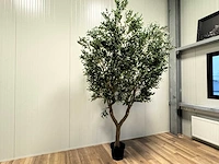 Olive tree kunstplant (280cm hoog) - afbeelding 12 van  20