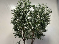 Olive tree kunstplant (280cm hoog) - afbeelding 15 van  20
