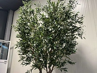 Olive tree kunstplant (280cm hoog) - afbeelding 16 van  20