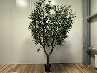 Olive tree kunstplant (280cm hoog)