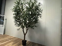 Olive tree kunstplant (280cm hoog) - afbeelding 15 van  20