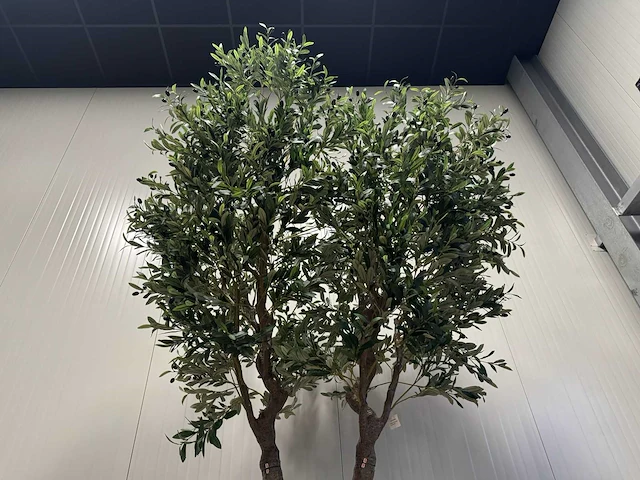 Olive tree kunstplant (280cm hoog) - afbeelding 16 van  20
