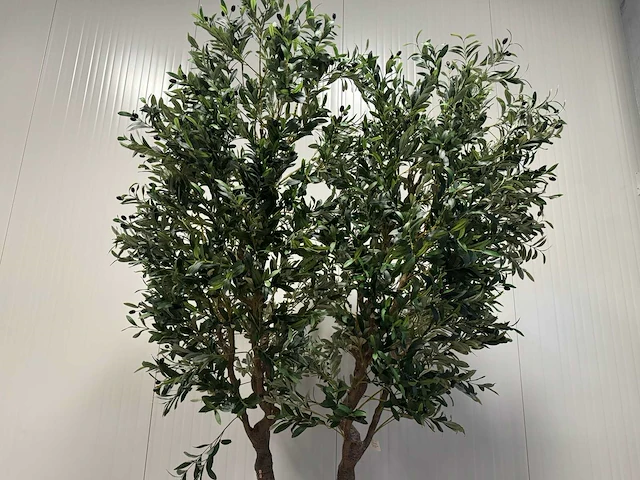 Olive tree kunstplant (280cm hoog) - afbeelding 17 van  20