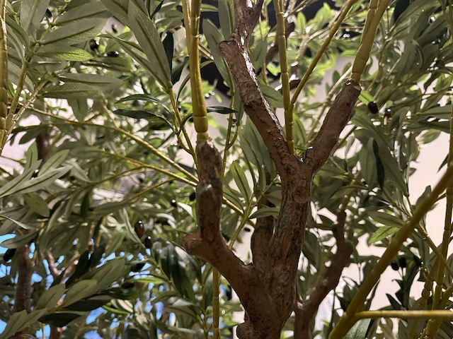 Olive tree kunstplant (280cm hoog) - afbeelding 6 van  19