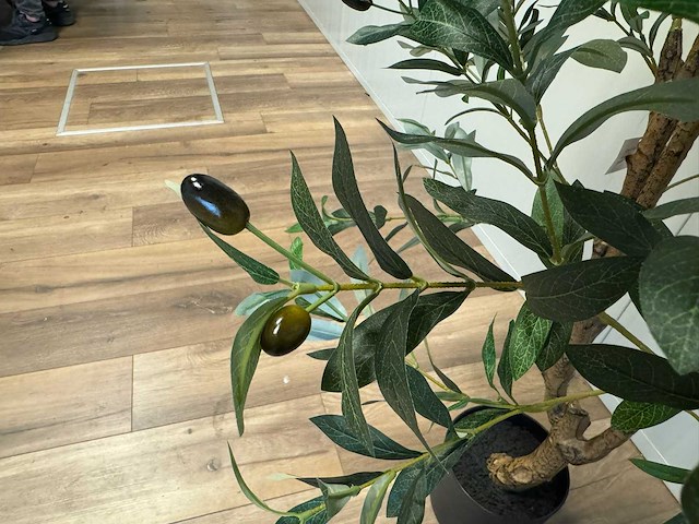 Olive tree kunstplant (2x) (180cm hoog) - afbeelding 3 van  13