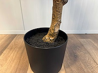 Olive tree kunstplant (2x) (180cm hoog) - afbeelding 4 van  13