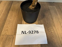 Olive tree kunstplant (2x) (180cm hoog) - afbeelding 5 van  13