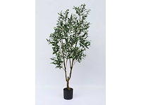 Olive tree kunstplant (2x) (180cm hoog) - afbeelding 6 van  13