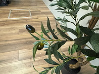 Olive tree kunstplant (2x) (180cm hoog) - afbeelding 3 van  13
