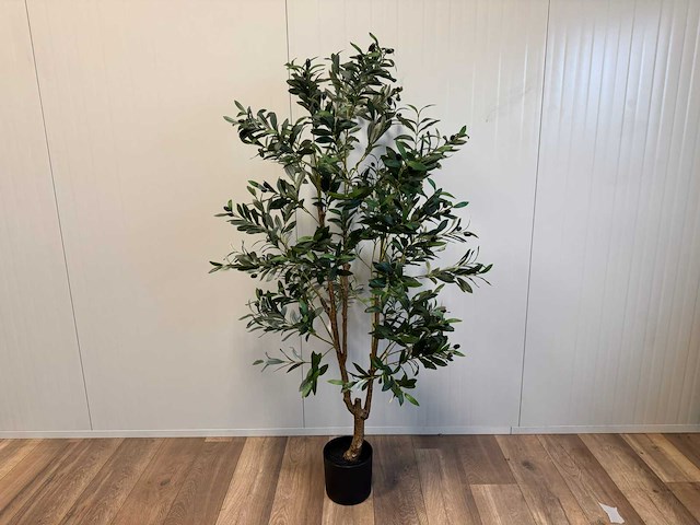 Olive tree kunstplant (2x) (180cm hoog) - afbeelding 1 van  13
