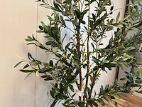Olive tree kunstplant (2x) (180cm hoog) - afbeelding 11 van  13