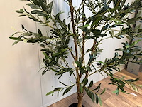 Olive tree kunstplant (2x) (180cm hoog) - afbeelding 5 van  13