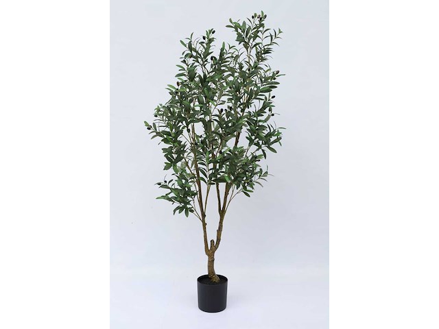 Olive tree kunstplant (2x) (180cm hoog) - afbeelding 6 van  13
