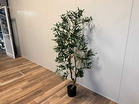 Olive tree kunstplant (2x) (180cm hoog) - afbeelding 8 van  13