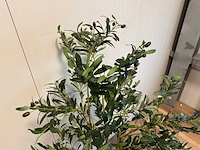 Olive tree kunstplant (2x) (180cm hoog) - afbeelding 10 van  13