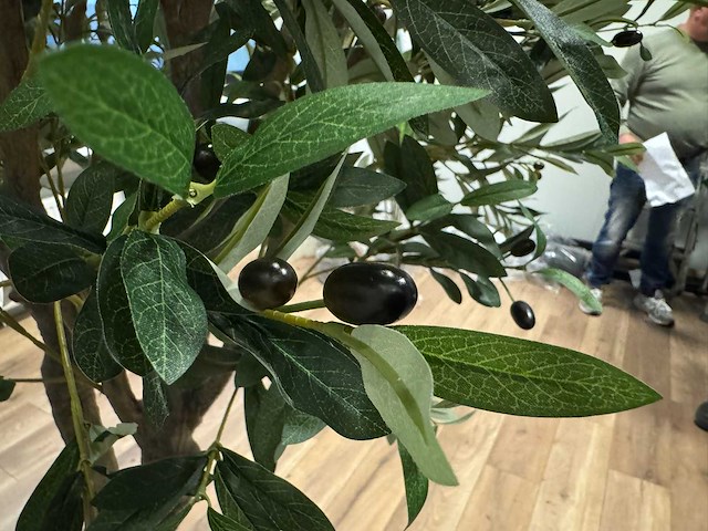 Olive tree kunstplant (2x) (280cm hoog) - afbeelding 5 van  20