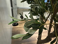Olive tree kunstplant (2x) (280cm hoog) - afbeelding 6 van  20