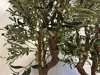 Olive tree kunstplant (2x) (280cm hoog) - afbeelding 9 van  20