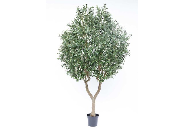 Olive tree kunstplant (2x) (280cm hoog) - afbeelding 12 van  20