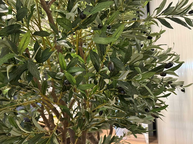 Olive tree kunstplant (2x) (280cm hoog) - afbeelding 3 van  20