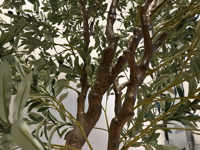 Olive tree kunstplant (2x) (280cm hoog) - afbeelding 8 van  20