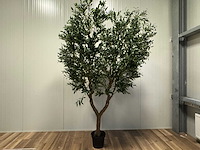 Olive tree kunstplant (2x) (280cm hoog) - afbeelding 1 van  20