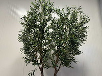 Olive tree kunstplant (2x) (280cm hoog) - afbeelding 17 van  20