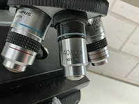 Olympus bh-2 microscope - afbeelding 14 van  17