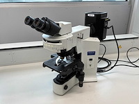 Olympus bx41tf microscope - afbeelding 1 van  11