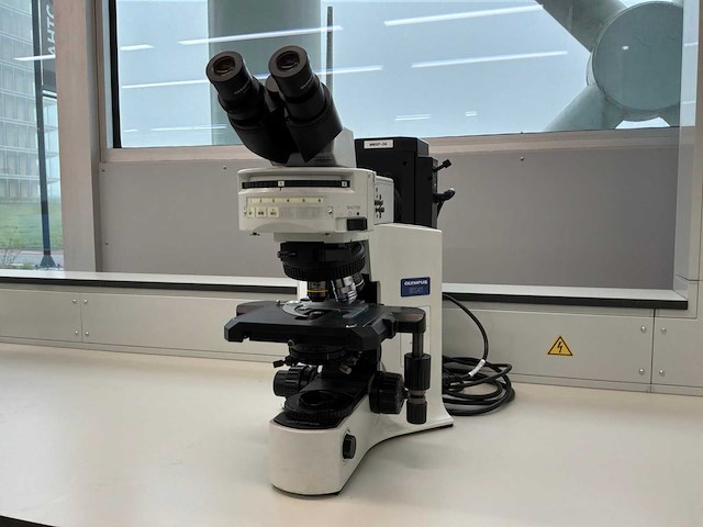 Olympus bx41tf microscope - afbeelding 4 van  11