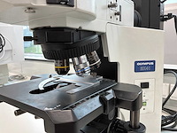 Olympus bx41tf microscope - afbeelding 10 van  11