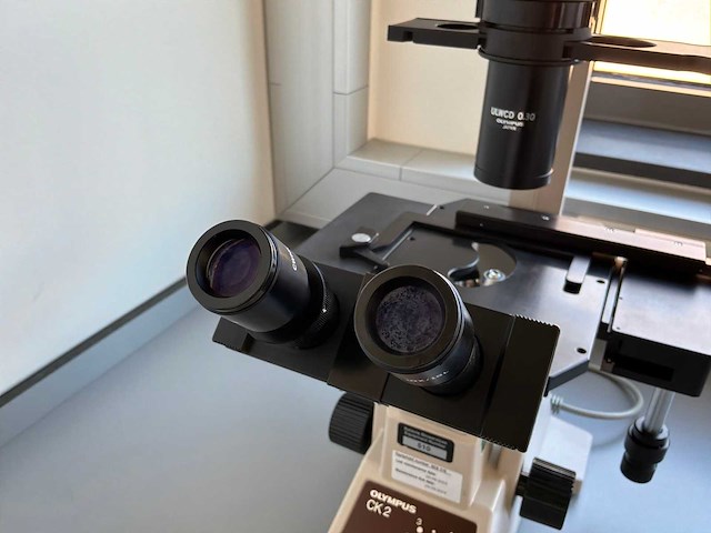 Olympus ck2 biologische microscoop - afbeelding 3 van  6