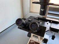 Olympus ck2 biologische microscoop - afbeelding 3 van  6