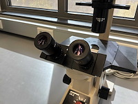 Olympus ck2 biologische microscoop - afbeelding 3 van  7