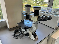 Olympus ckx41 celcultuurmicroscoop - afbeelding 3 van  10