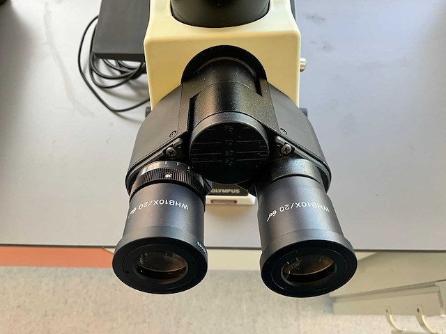 Olympus ckx41 celcultuurmicroscoop - afbeelding 4 van  10
