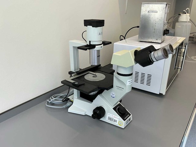 Olympus ckx41 celcultuurmicroscoop - afbeelding 1 van  10