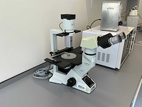 Olympus ckx41 celcultuurmicroscoop - afbeelding 1 van  10