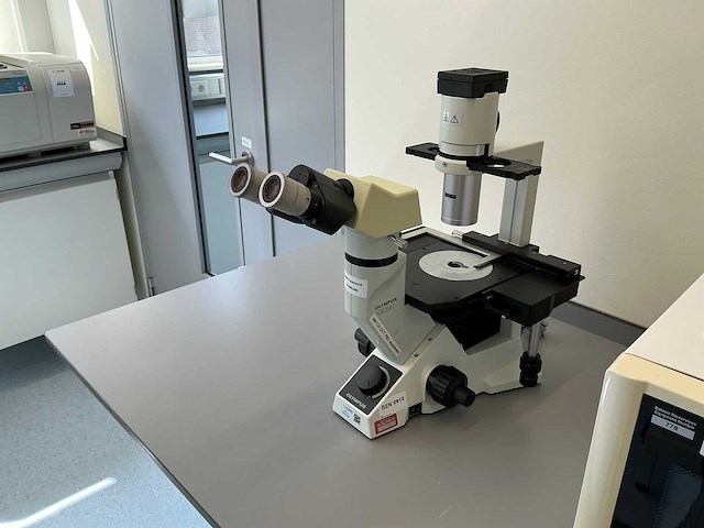 Olympus ckx41 celcultuurmicroscoop - afbeelding 2 van  10