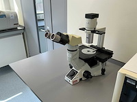 Olympus ckx41 celcultuurmicroscoop - afbeelding 2 van  10
