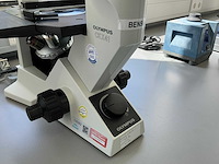 Olympus ckx41 celcultuurmicroscoop - afbeelding 11 van  14