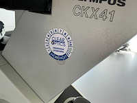 Olympus ckx41 celcultuurmicroscoop - afbeelding 12 van  14