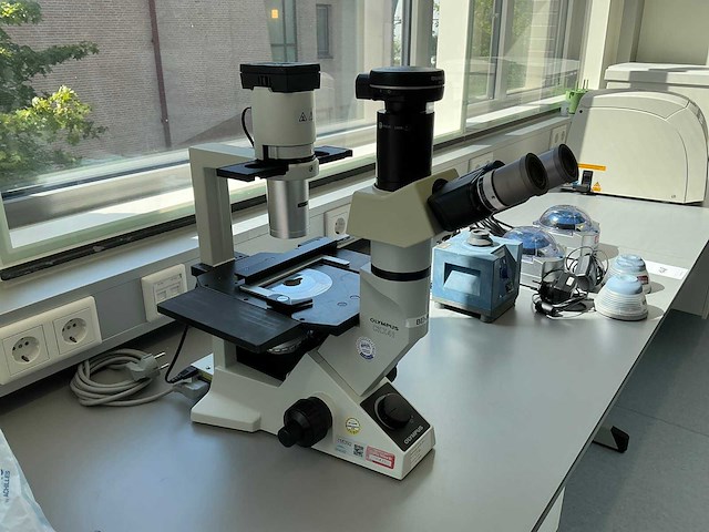 Olympus ckx41 celcultuurmicroscoop - afbeelding 1 van  14